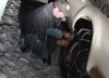 Milagro en la nieve: un peón rural se perdió en medio de un terrible temporal y fue salvado por sus perros
