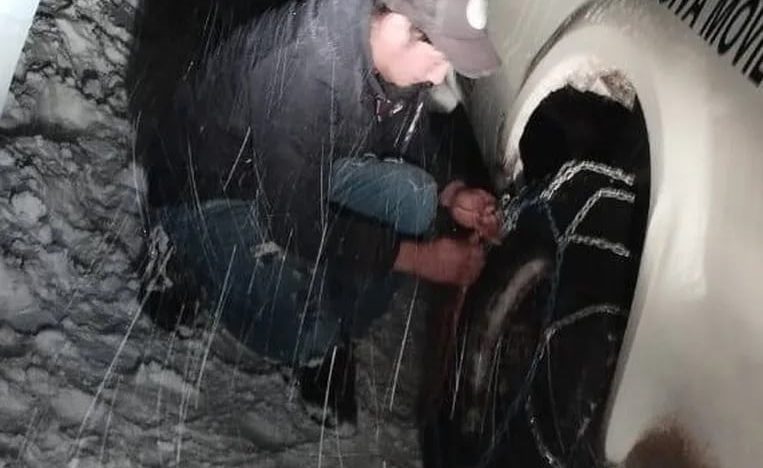 Milagro en la nieve: un peón rural se perdió en medio de un terrible temporal y fue salvado por sus perros