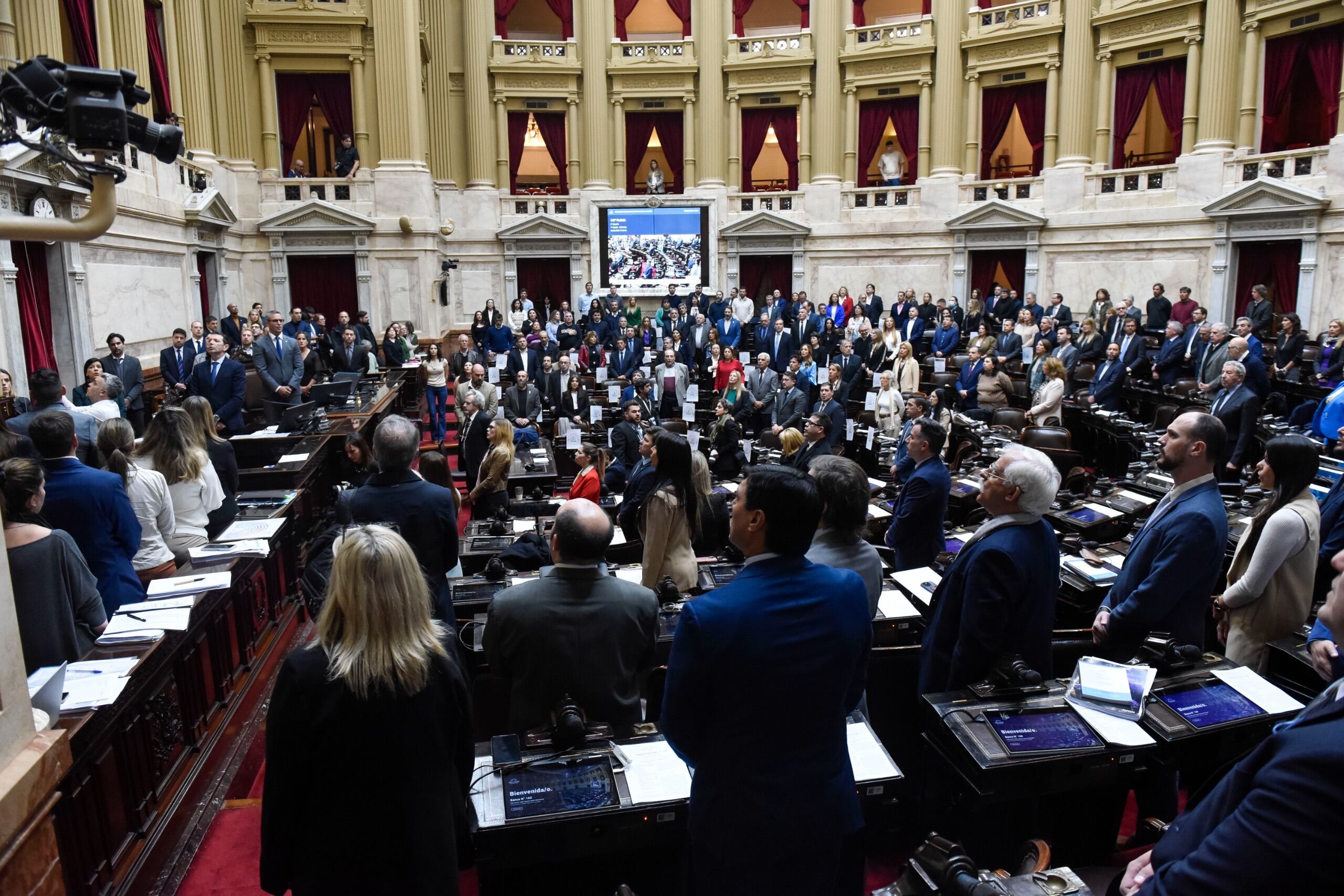 Si Milei veta la ley, la Cámara de Diputados tendrá que discutir nuevamente las jubilaciones. (Foto: Cámara de Diputados)