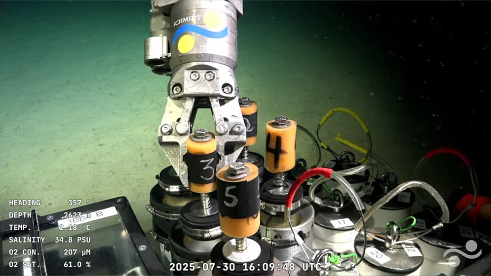 Se emplea el vehículo operado remotamente (ROV) SuBastian, capaz de capturar imágenes submarinas en ultra alta definición y recolectar muestras sin alterar el entorno