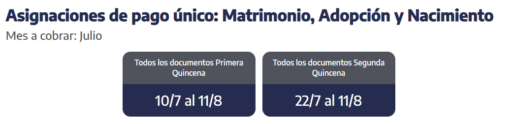 Cuando se cobran las asignaciones de pago único de julio 2025. (Foto: ANSES)