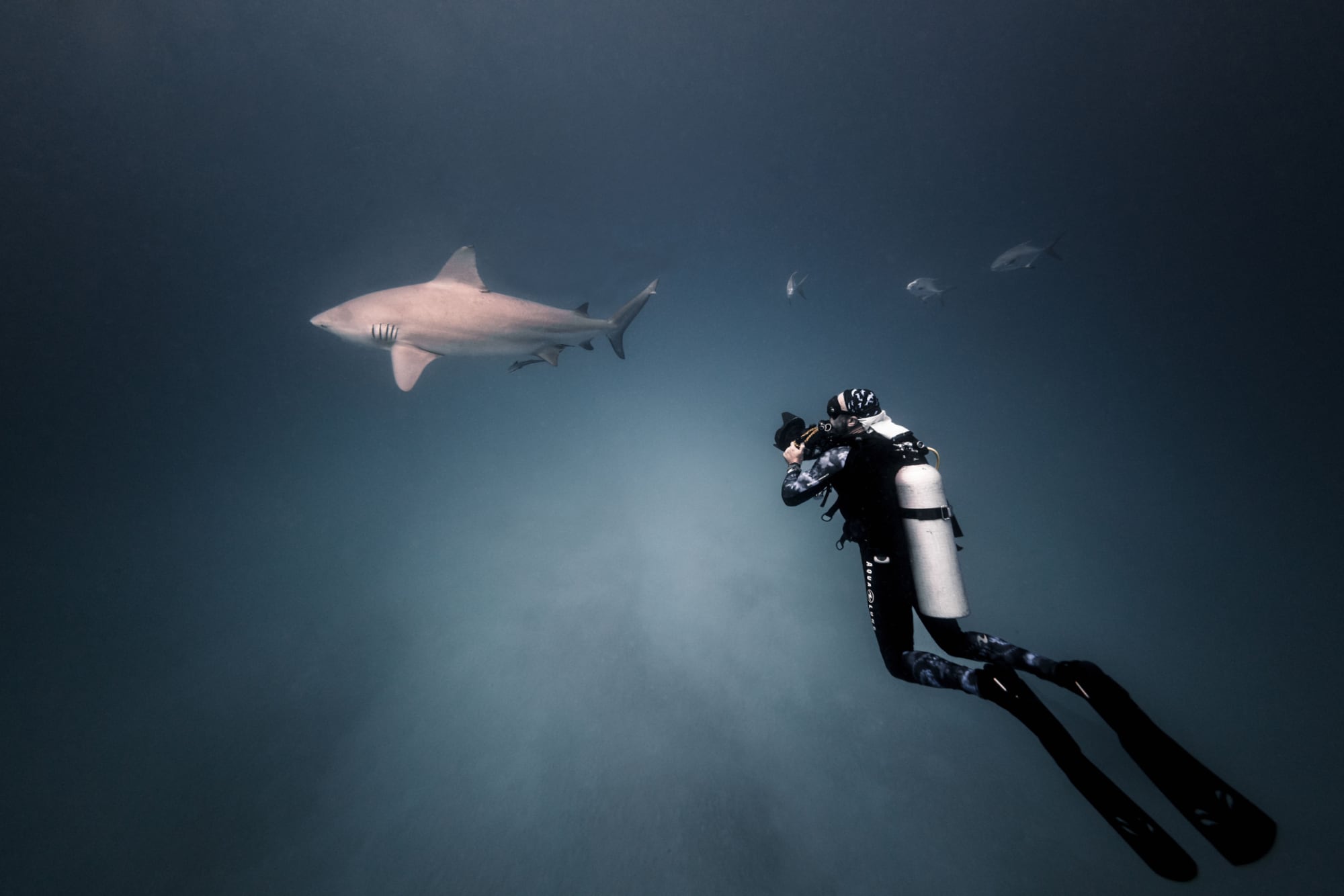 “La realidad, como siempre, impuso sus matices. Descubrí que el `sueño del buceo profesional´ tenía su lado menos romántico” (En la foto: Gustavo fotografiando un tiburón).