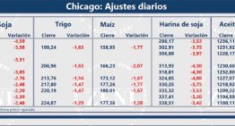 La soja comenzó la semana con una rueda negativa en Argentina y en Chicago
