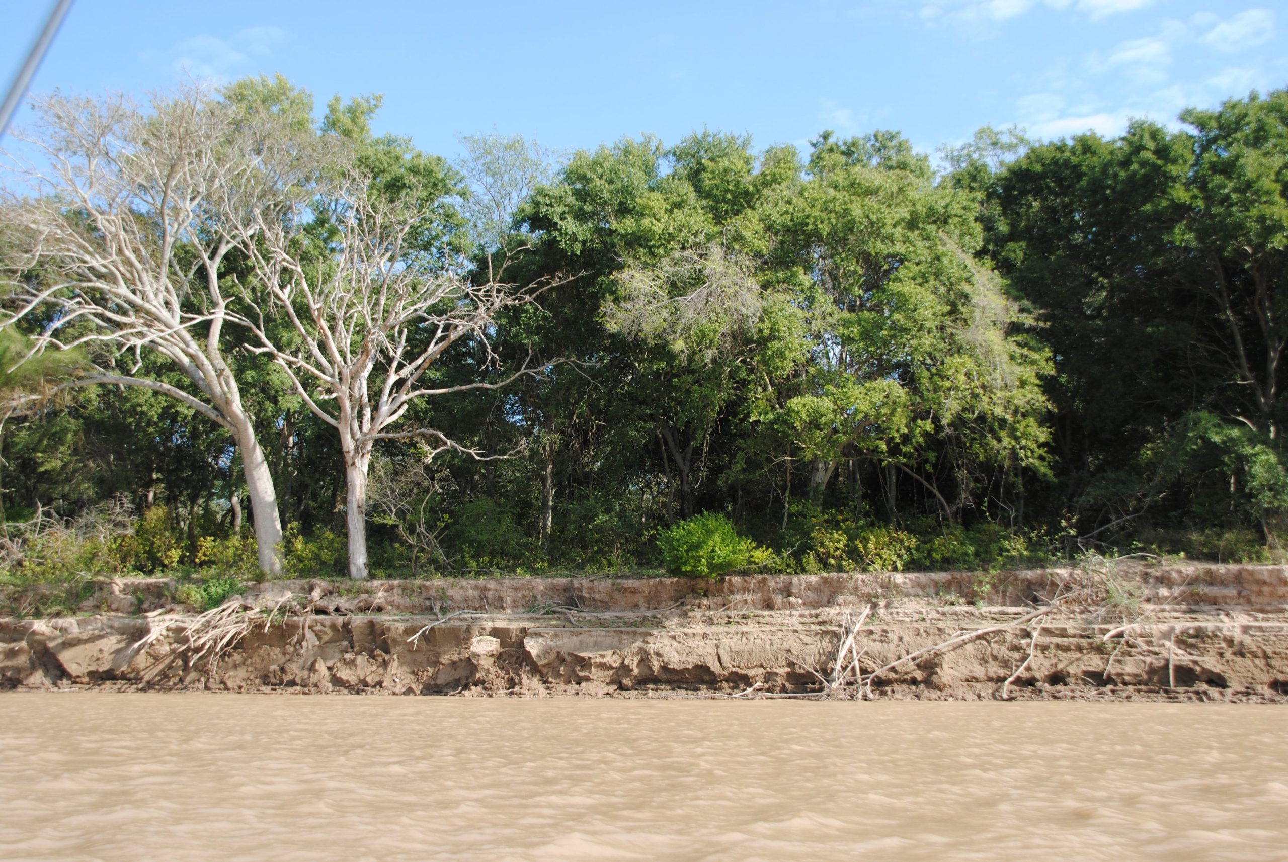 En la reserva buscan actividades que sean compatibles con el medio ambiente: apicultura, turismo ecológico, educación ambiental o control de especies invasoras.