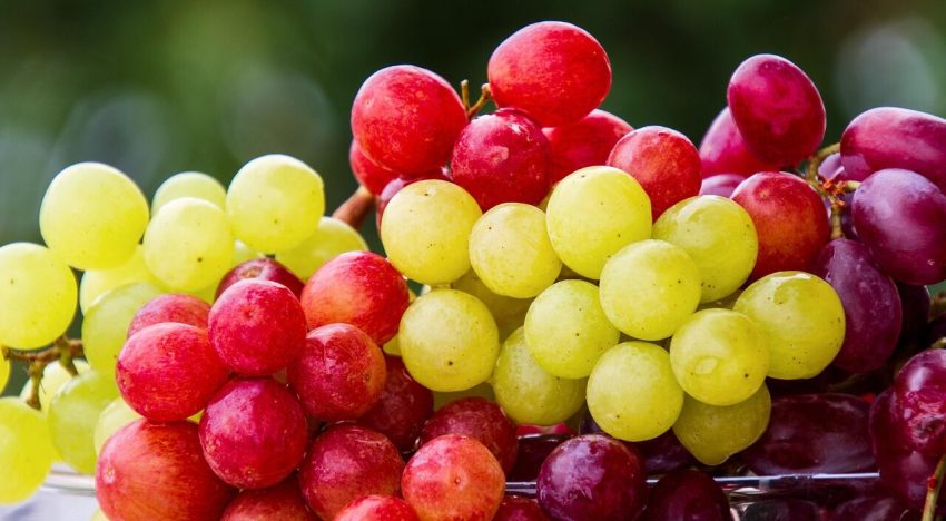 Ni detergente ni jabón: la manera correcta de lavar las uvas