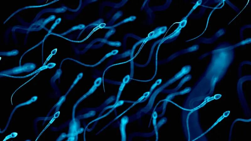 Los casos de alergia al semen pueden ser localizados o sistémicos