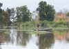 El otro delta: a dos horas de Capital Federal, el río y los arroyos repletos de aves que muy pocos conocen