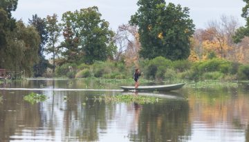 El otro delta: a dos horas de Capital Federal, el río y los arroyos repletos de aves que muy pocos conocen