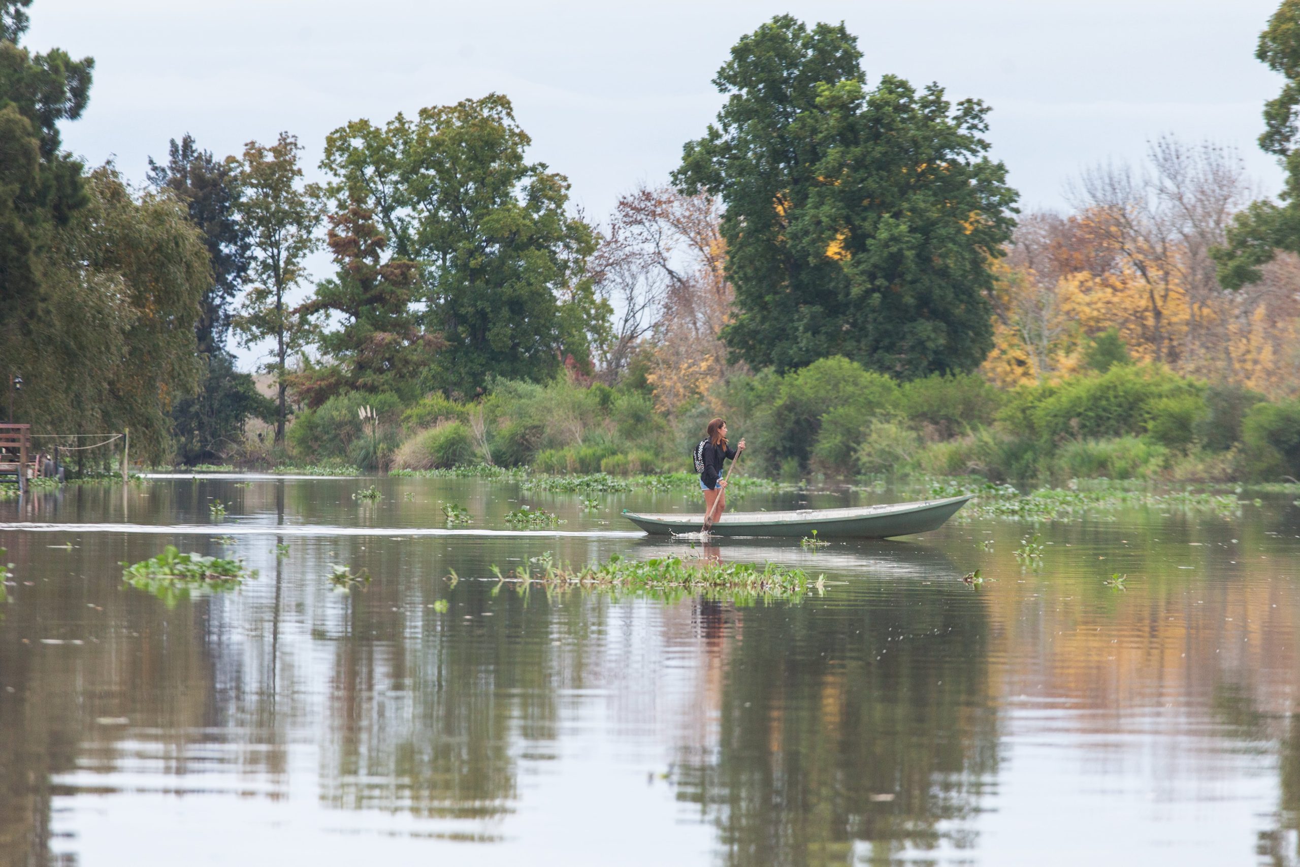 Los arroyos del delta del sur de Entre Ríos.