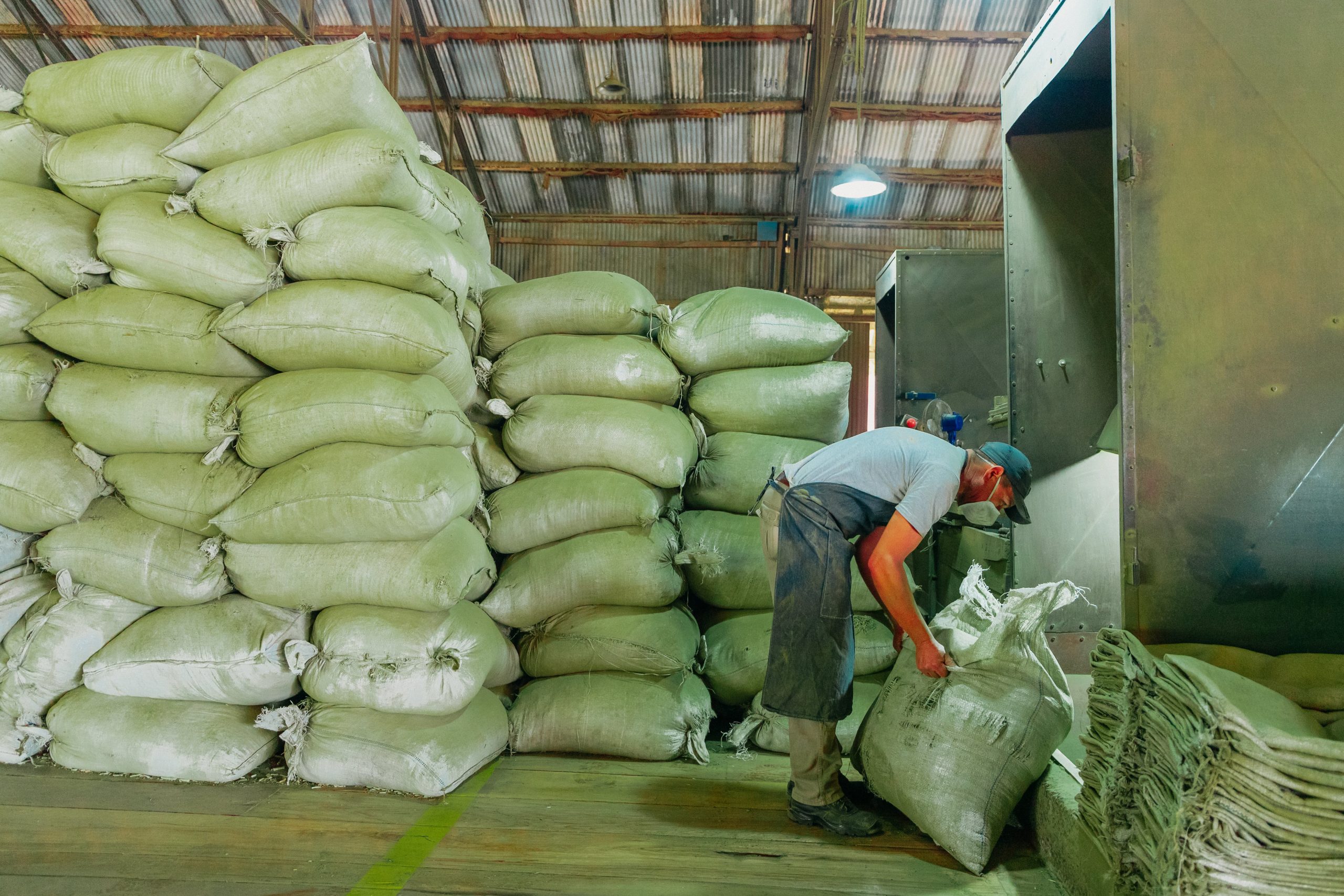 Además de su planta de molienda en San Ignacio, la cooperativa tiene otra en Puerto Mineral, donde también están el secadero y un campo con yerbatales, y una tercera en Rosario, donde procesan mate cocido y té