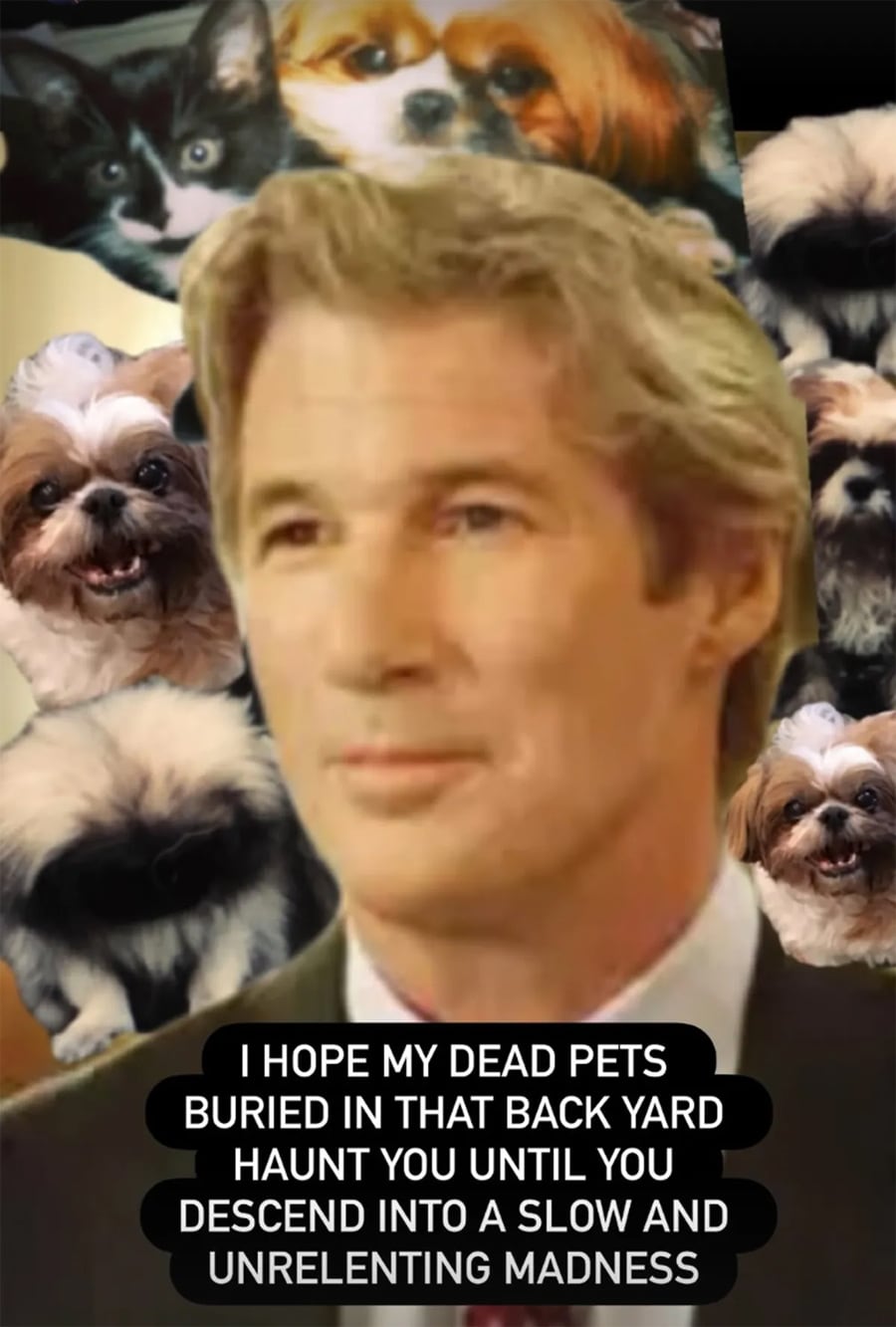 Los posteos de Lulu Simon contra Richard Gere
