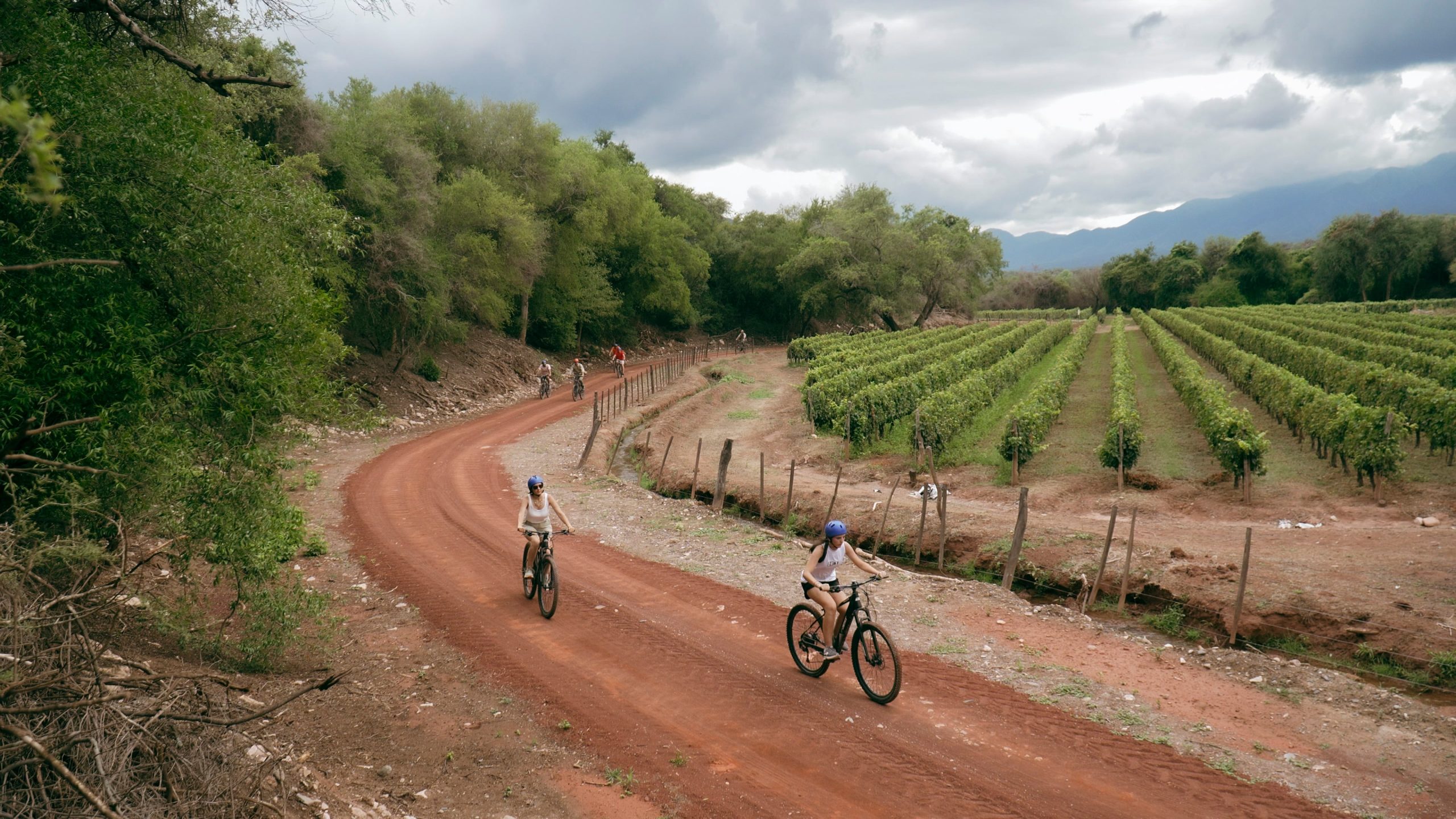 Paseo en bicicletas eléctricas por los senderos de la finca, descubriendo árboles autóctonos como Cardones centenarios (Pachycereus Pringlei) y fauna local.