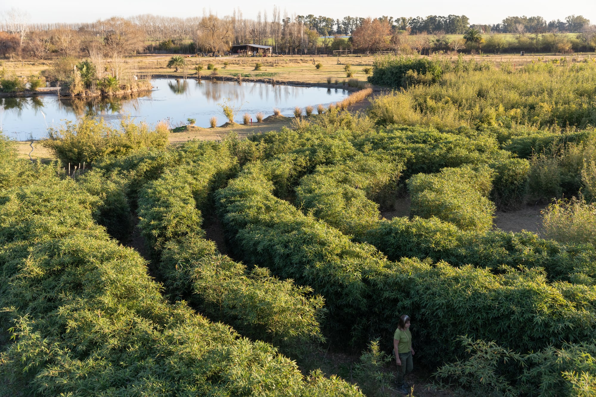 Laberinto y laguna, una combinación que promete una desconexión profunda y una reconexión con la naturaleza.