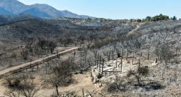 De héroe local a perseguido: la historia del brigadista detenido por la policía durante los incendios en Córdoba