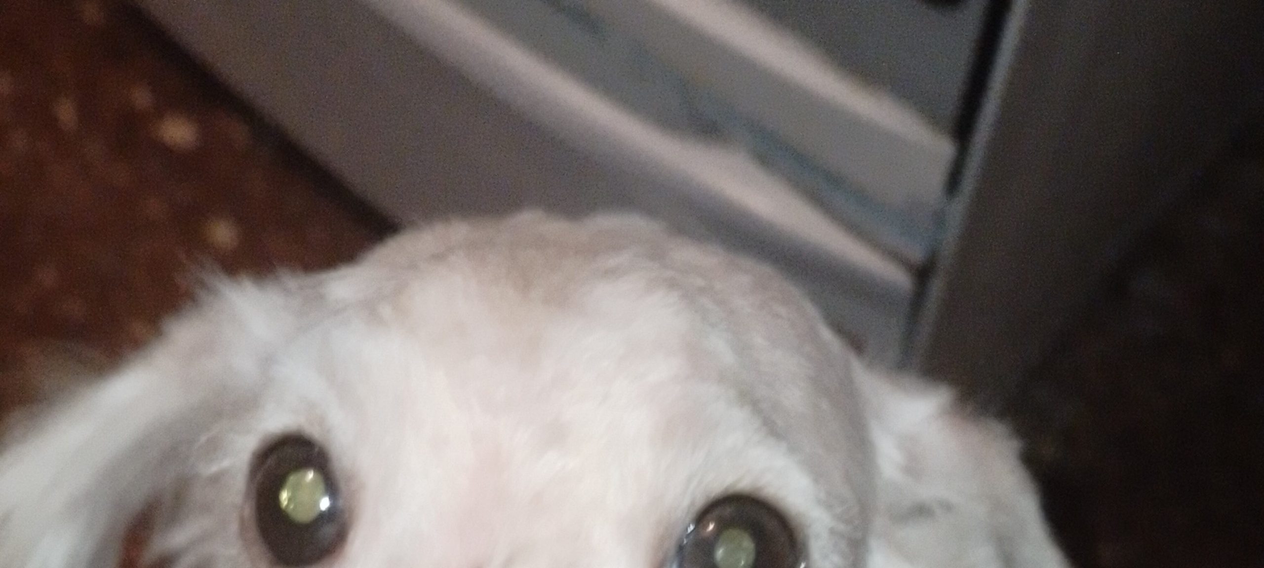 Al cabo de un mes, César se había transformado.