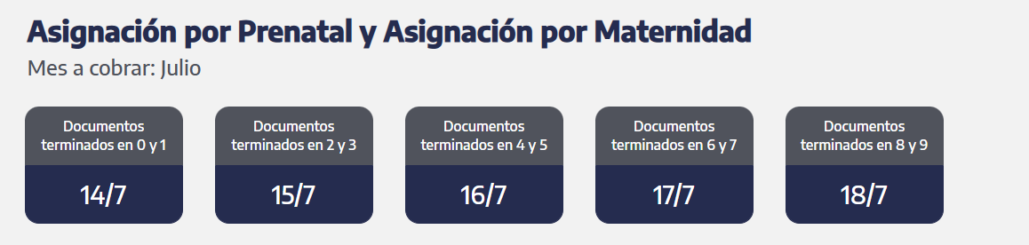 Cuándo se cobra la asignación por prenatal y maternidad (Foto: ANSES)
