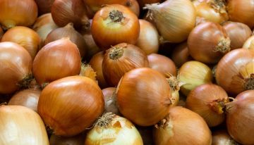 Adiós a las papas fritas: los cinco trucos para lograr los aros de cebolla perfectos