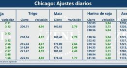 La soja anotó su tercera rueda consecutiva de suba en Chicago y cerró a $340 mil por tonelada en Argentina