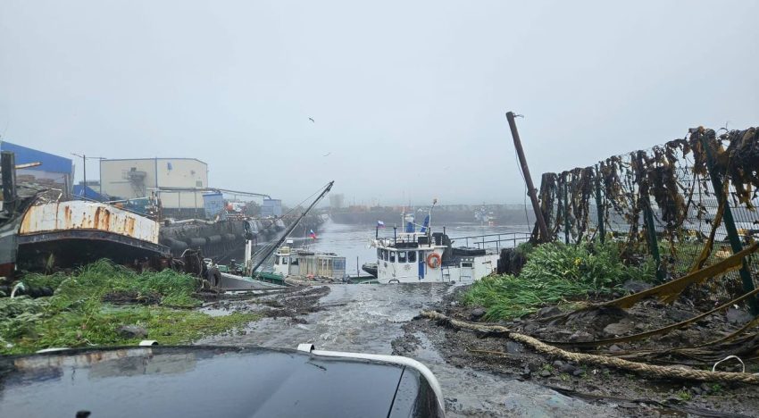 Terremoto en Rusia y alerta de tsunami en Japón y Estados Unidos, en vivo: las últimas noticias