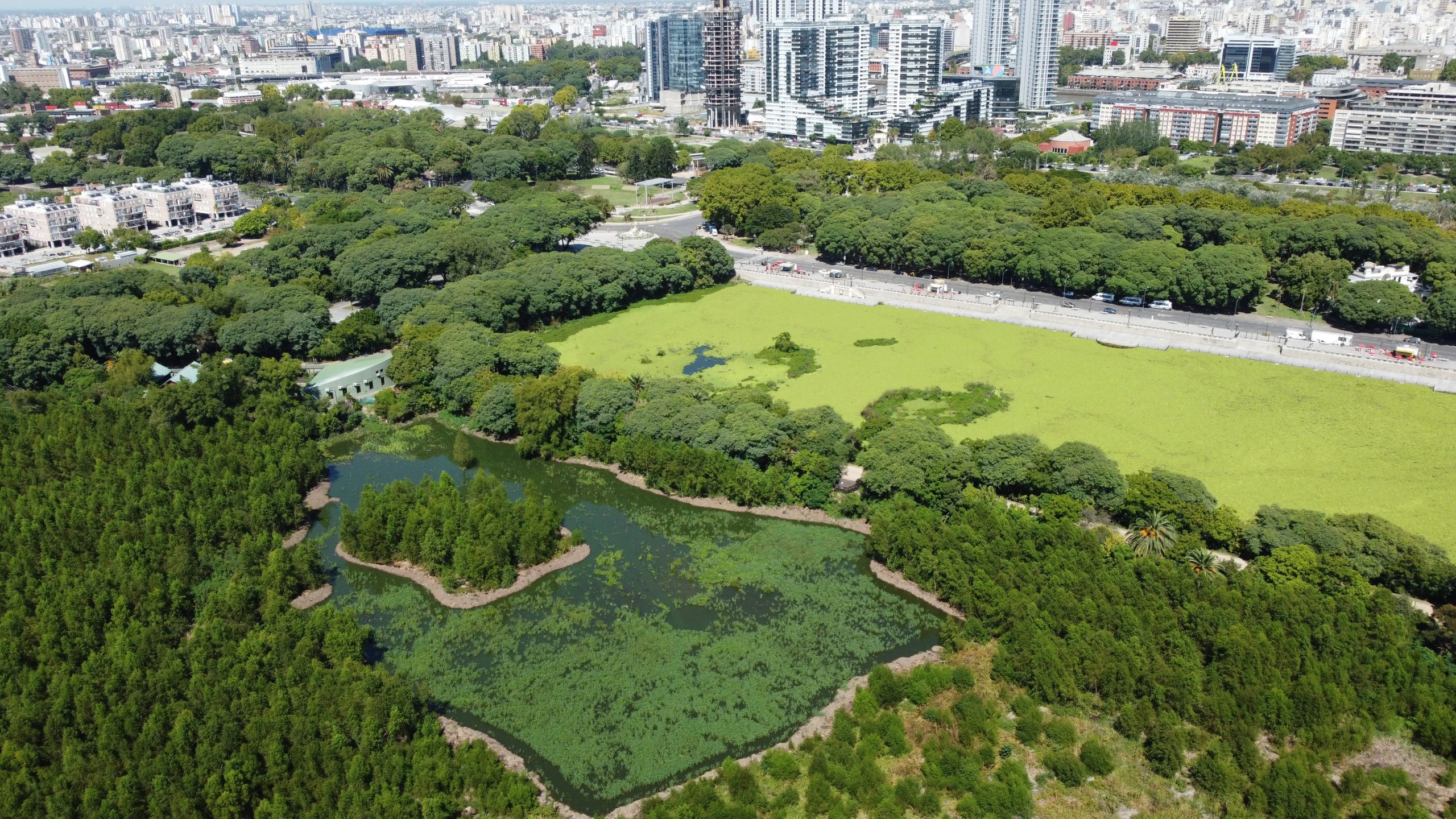 Reserva Ecológica Costanera Sur