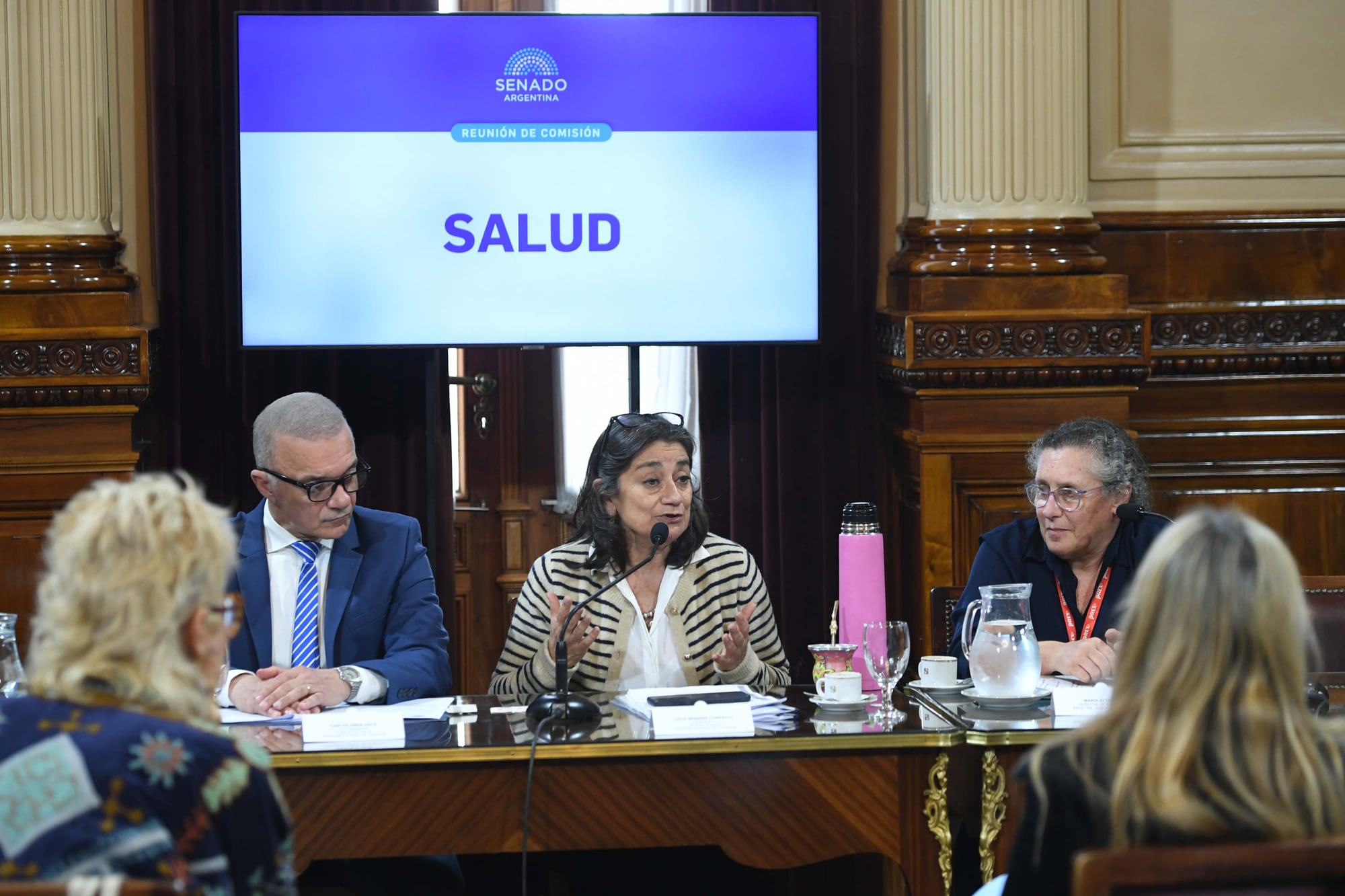Reunión de la comisión de Salud, en el Salón Illia del Senado de la Nación