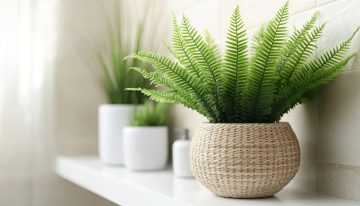 Nunca tengas esta planta en casa: pueden atraer garrapatas y afectar a tu mascota