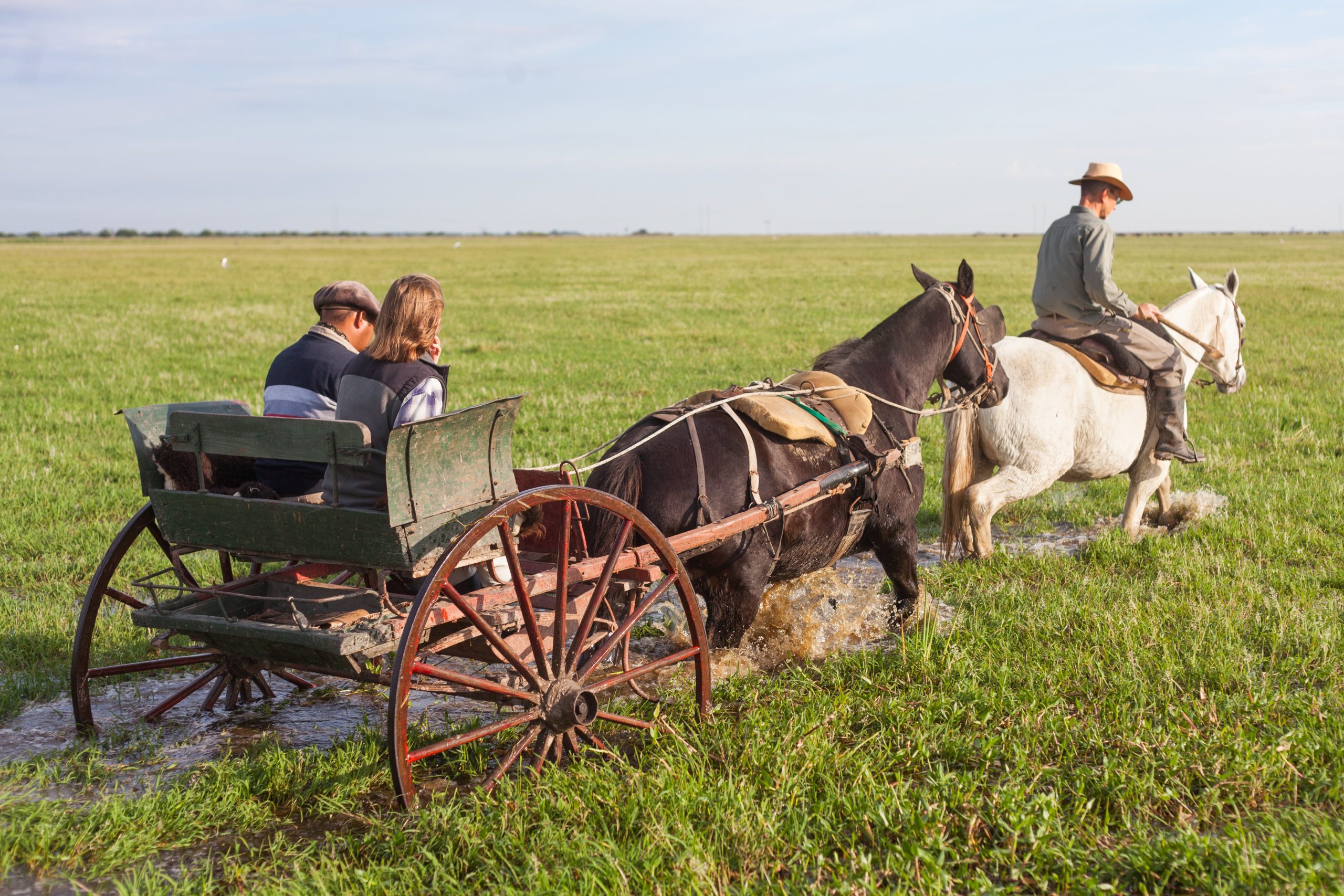 Los campos de Ceibas se recorren a caballo.
