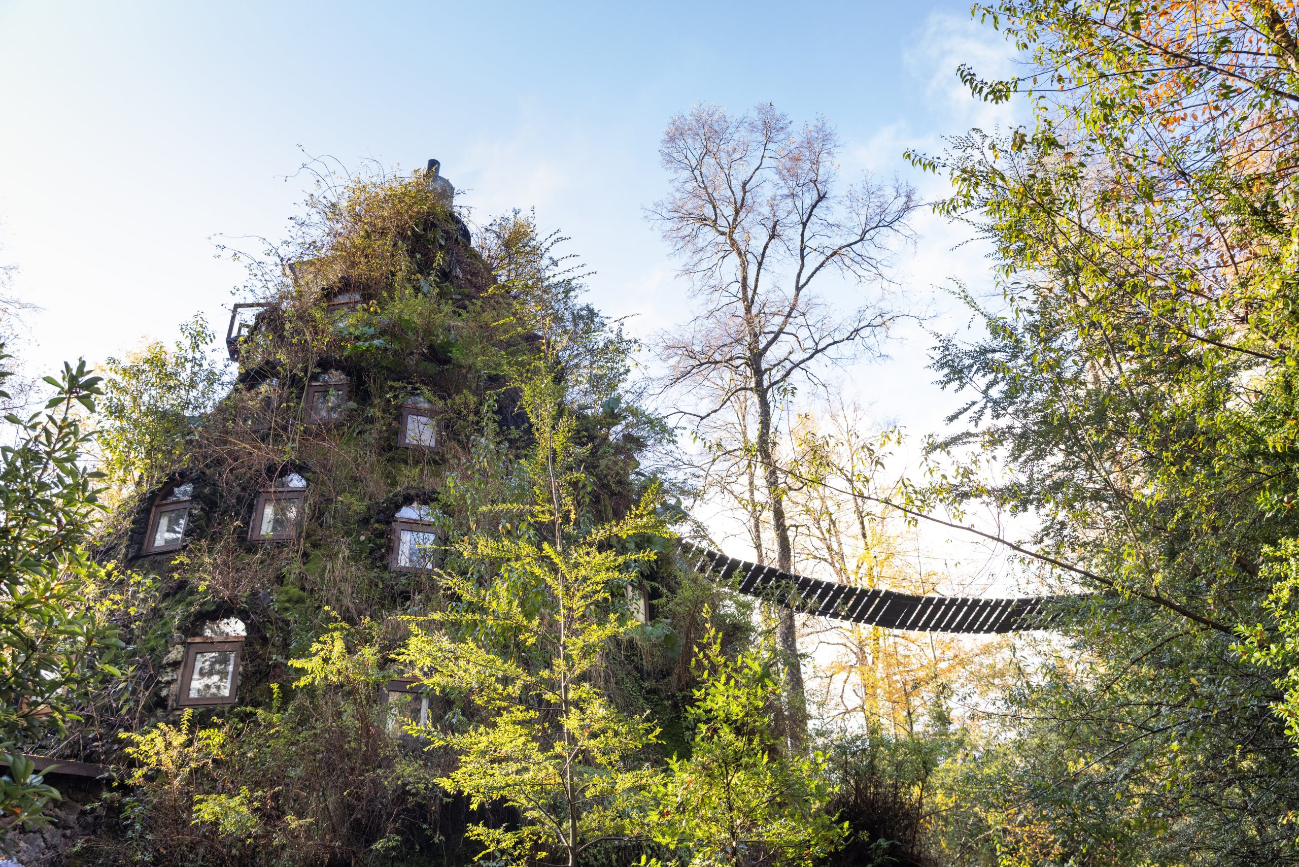 Cubierto de vegetación, el hotel Montaña Mágica posee nueve habitaciones inspiradas en los cuentos de hadas