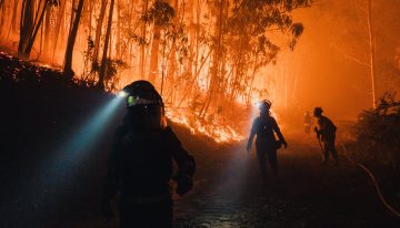 Última hora de los incendios en España, en directo | La meteorología ayuda a mejorar la situación de los 18 grandes incendios activos