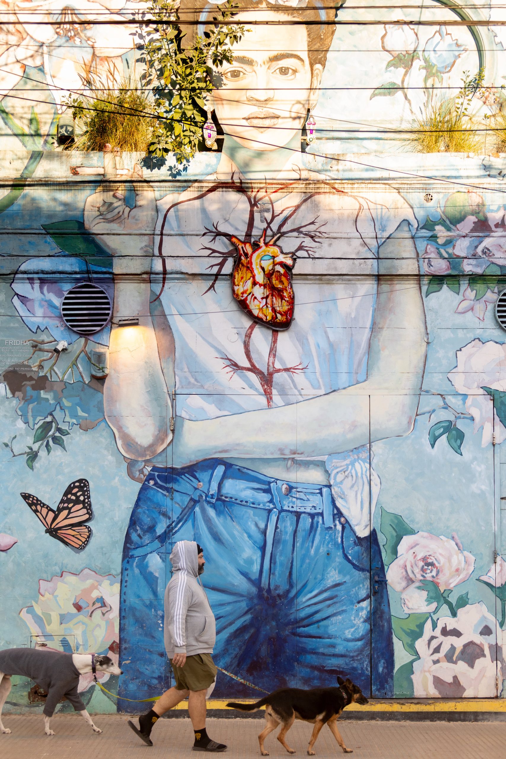 Mural de Frida Kahlo en la calle Dorrego a pasos del Mercado de Pulgas