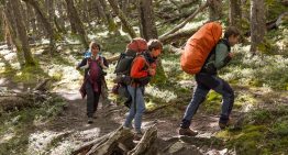 Patagonia: trekkings imperdibles entre bosques, estepa, glaciares y volcanes