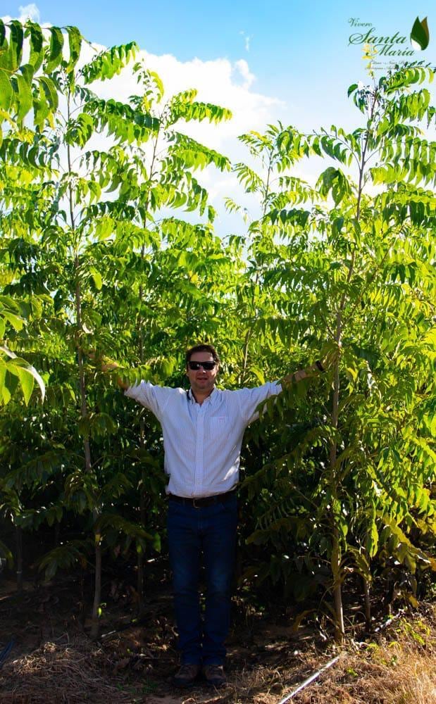 Passini, un promotor de Pecán, a partir de sus cargos institucionales