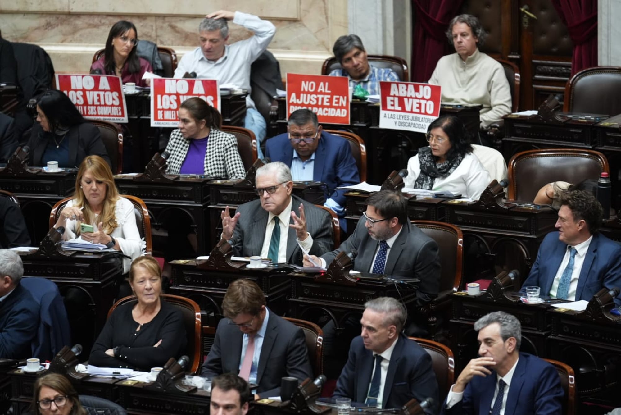 En diputados la oposición no consiguió los votos para dar de baja el veto por jubilaciones del presidente Javier Milei