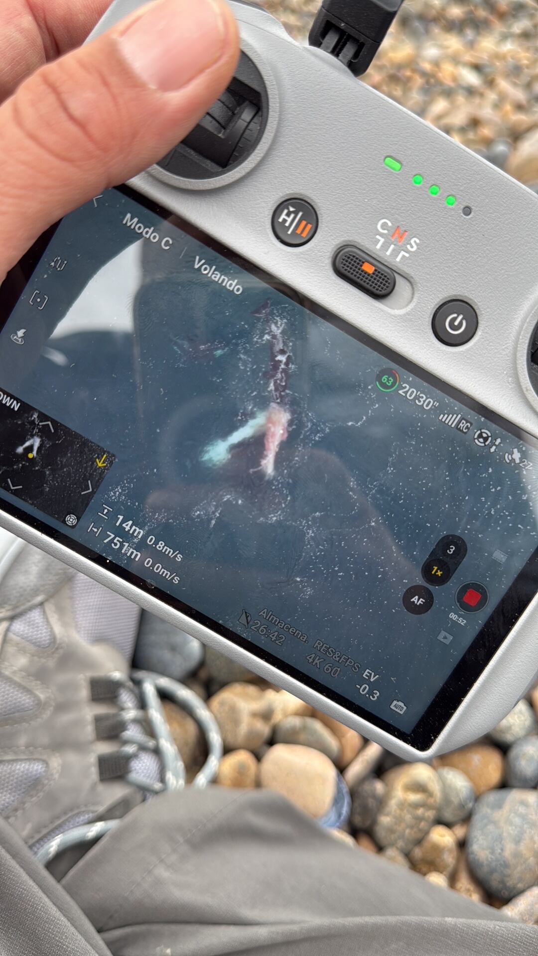 El material está siendo analizado por los científicos de Península Valdés Orca Research junto con el Instituto de Conservación de Ballenas