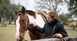 Una estancia para descansar, andar a caballo y disfrutar de la buena mesa