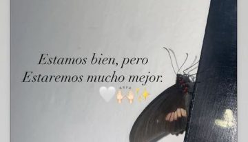 El deseo que expuso Tamara Báez en su nueva etapa con L-Gante