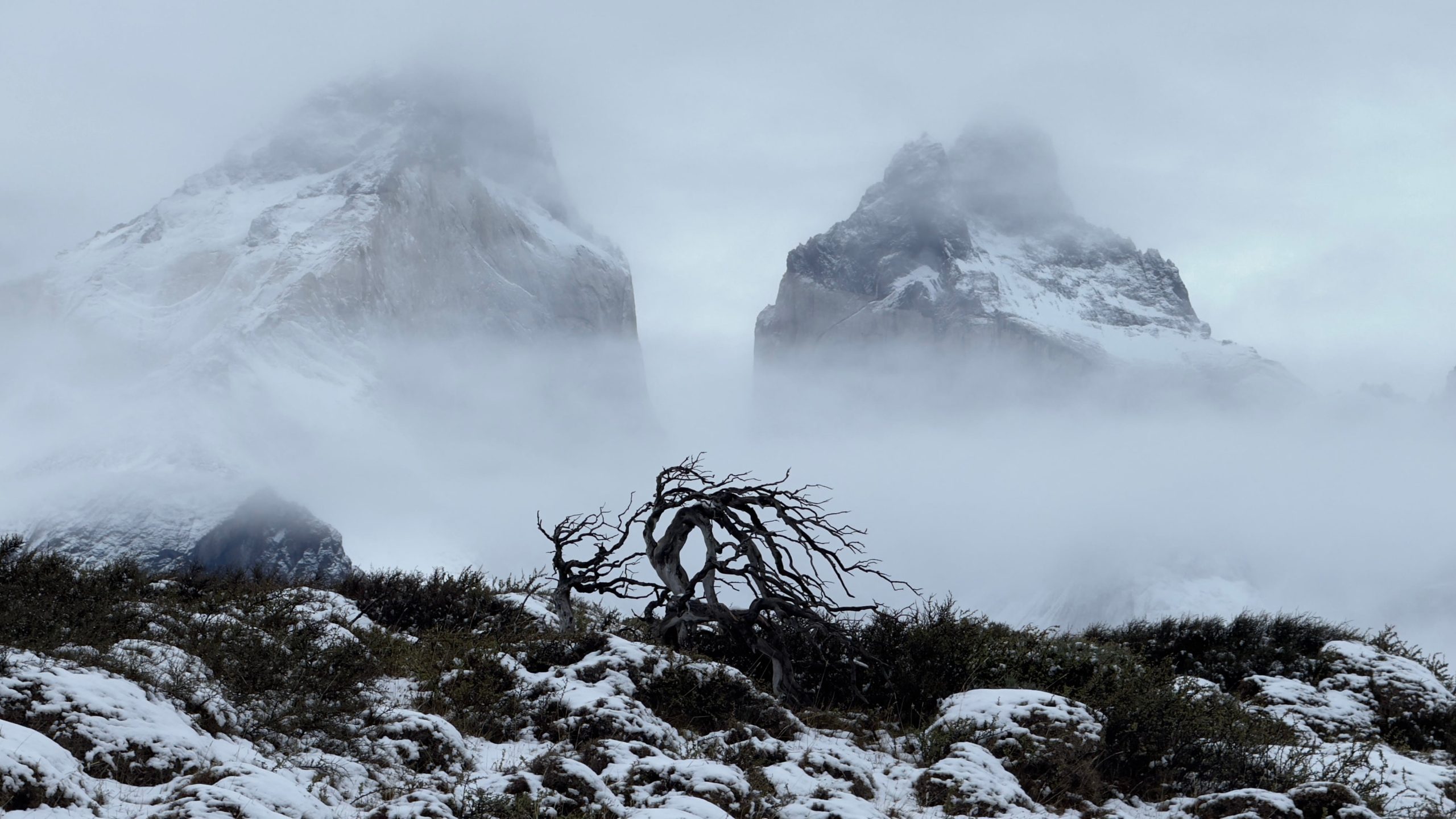 La visibilidad puede quedar reducida por mal tiempo, por lo que resulta fundamental viajar con un margen de días extra, para aprovechar las ventanas de buen tiempo para hacer las salidas