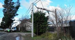 Bariloche: fuertes ráfagas generaron destrozos y cortes de luz