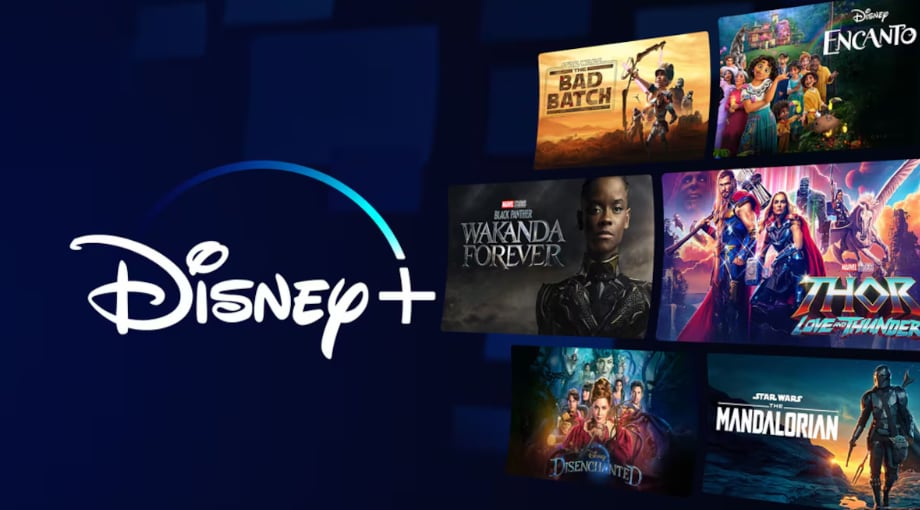 Homo Argentum se podrá ver en unos meses en Disney +