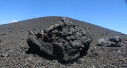 Paisajes rojizos, miles de guanacos y volcanes: cómo llegar a la misteriosa reserva de La Payunia en Mendoza