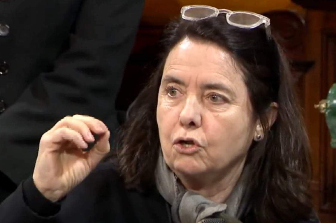 La senadora del Pro por la provincia de Córdoba, Carmen Álvarez Rivero