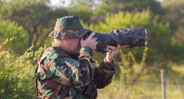 Meca internacional: el pueblo que convoca gente del mundo entero para ver y fotografiar aves increíbles