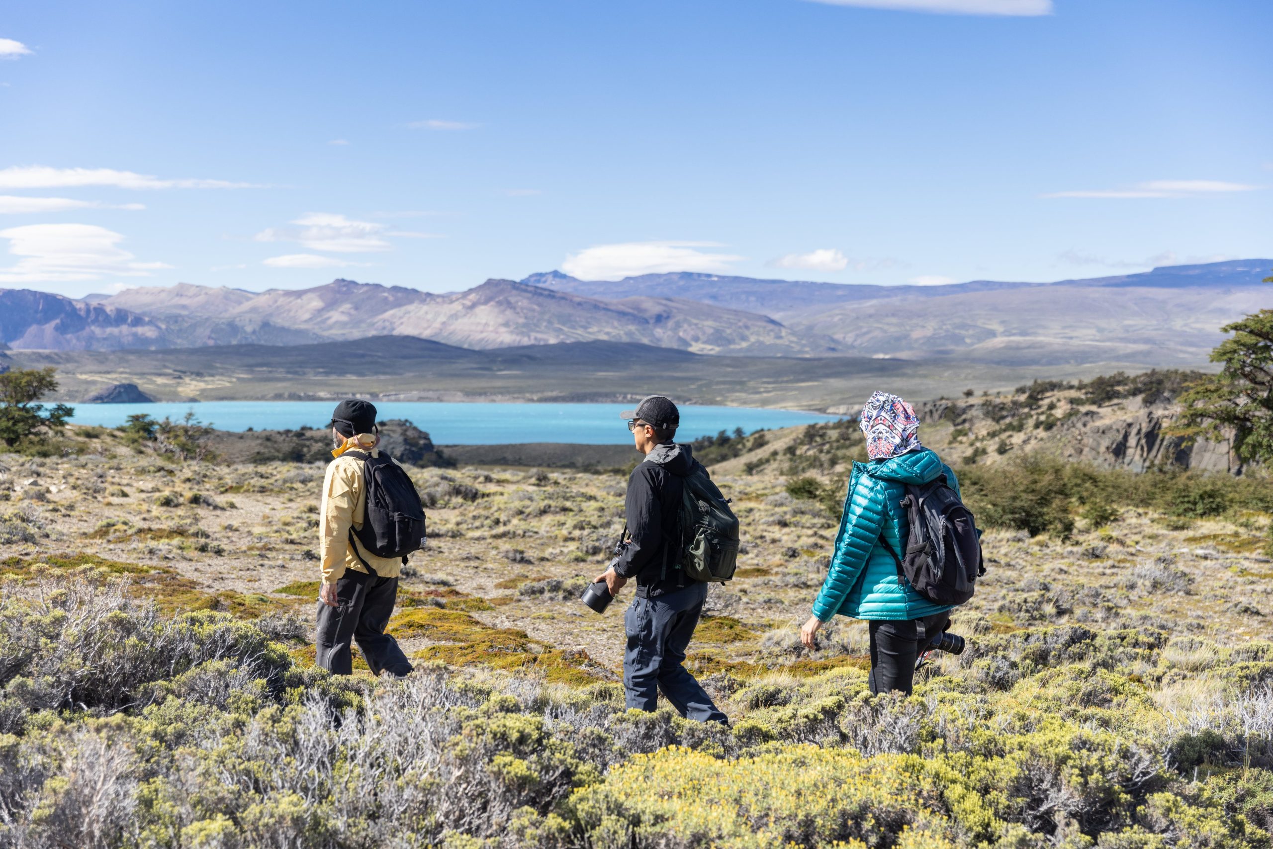 Variedad de escenarios en el PN Perito Moreno