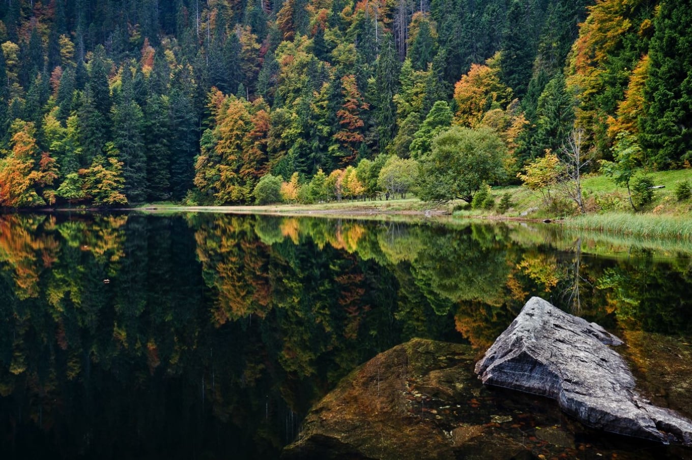 Cerca de Stuttgart - Schwarzwald - es un macizo montañoso con una gran densidad forestal ubicado al suroeste de Alemania, en el estado federado de Baden-Wurtemberg.