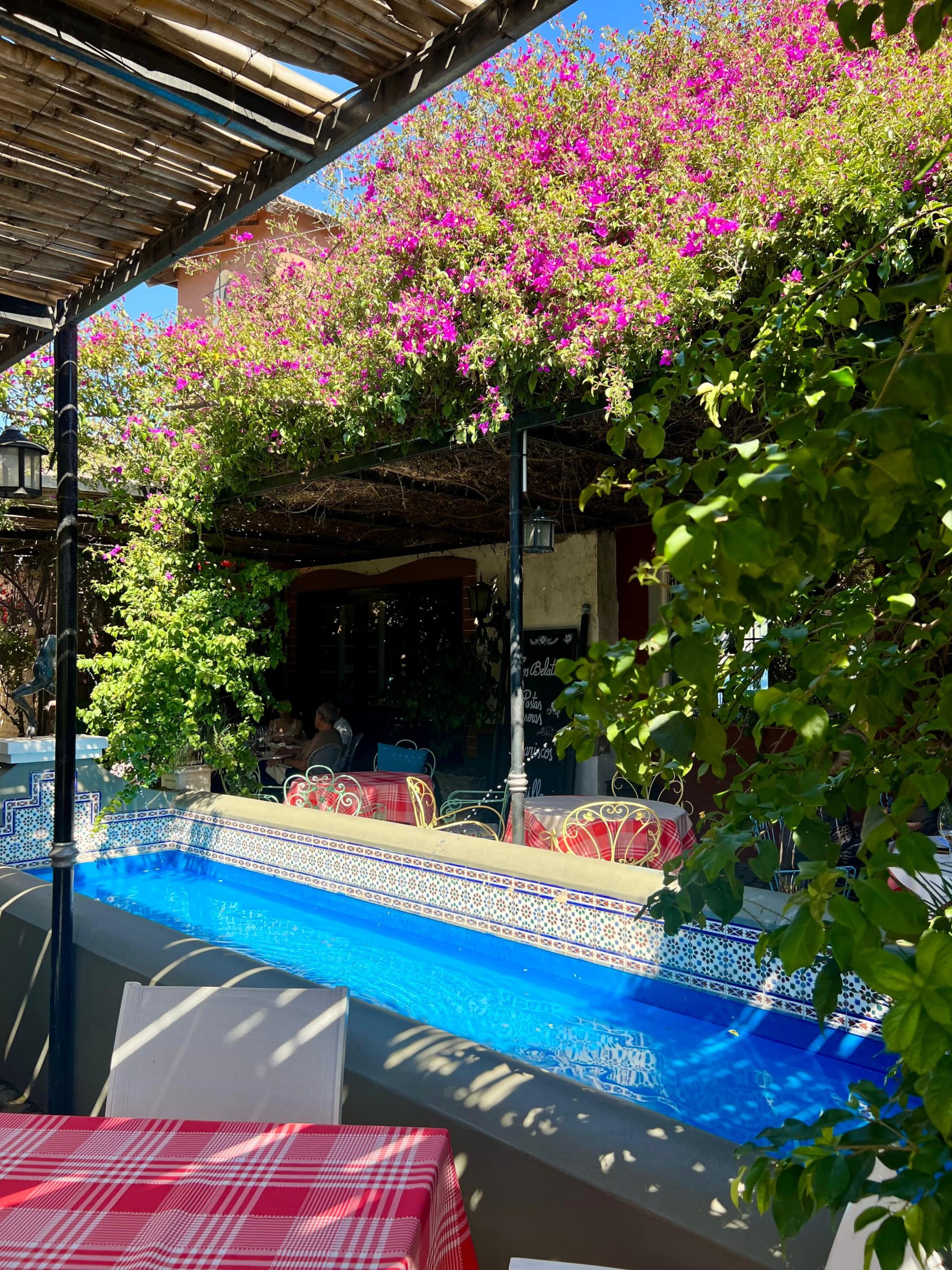 El patio con fuentes y pintorescas plantas de Santa Rita trepadoras, es el espacio más codiciado en primavera y verano.