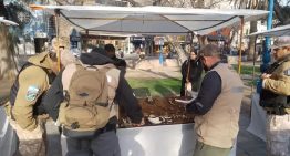 Horror en Mendoza: secuestran artesanías hechas con restos de osos hormigueros y otros animales protegidos