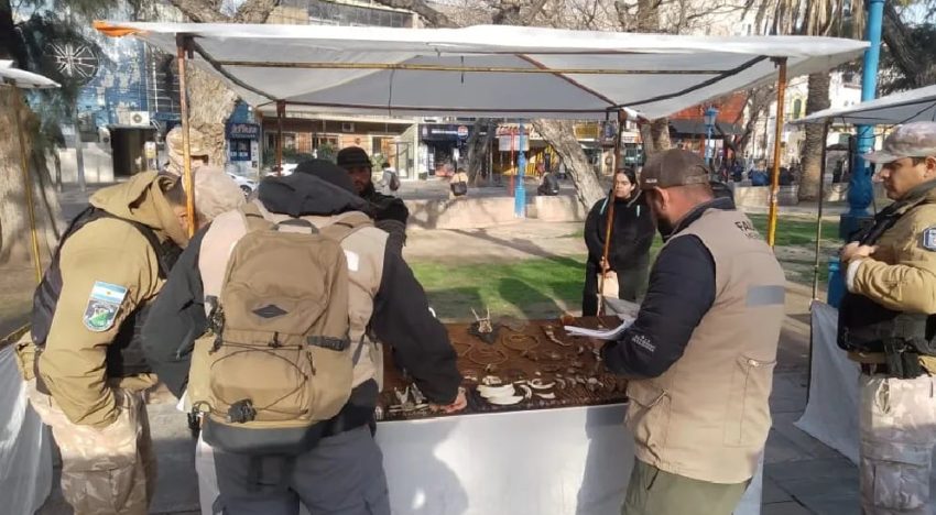 Horror en Mendoza: secuestran artesanías hechas con restos de osos hormigueros y otros animales protegidos