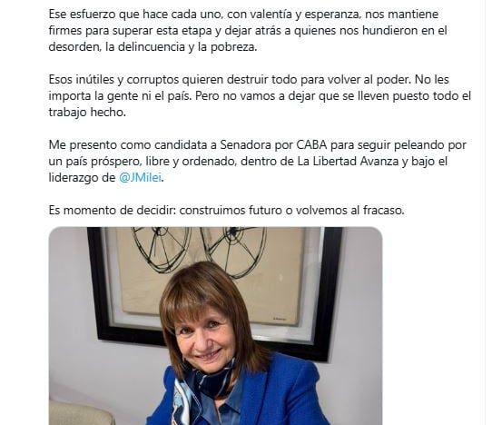 Bullrich confirmó que será candidata a senadora de CABA: “O construimos futuro o volvemos al fracaso”