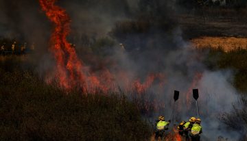 Última hora de los incendios en España, en directo | El Gobierno extremeño pone a toda la comunidad en nivel dos del plan contra incendios y confina a los vecinos de Oliva de Plasencia