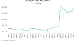 En medio del salto del dólar de julio, crecieron los préstamos y depósitos en moneda extranjera